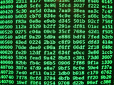 Low Level Software Development