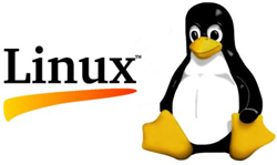 Embedded Linux Services